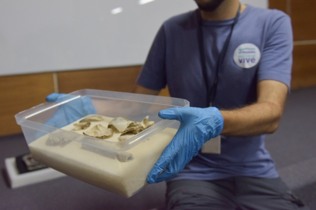 Fóssil de Luzia é encontrado nos escombros do Museu Nacional